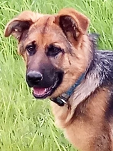 4 meses y medio 4 meses y medio
